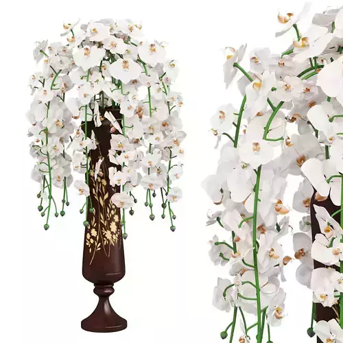 Orchid bouquet for interior