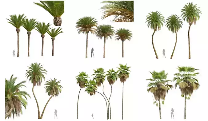  6 Different SETS of Tree SET VOL51 3D Model Collection
