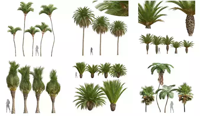  6 Different SETS of Tree SET VOL52 3D Model Collection