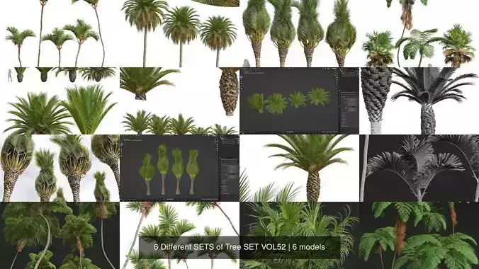  6 Different SETS of Tree SET VOL52