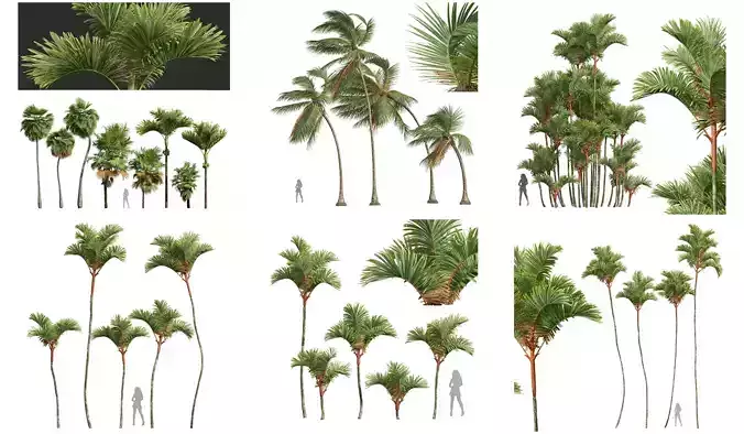  6 Different SETS of Tree SET VOL53 3D Model Collection