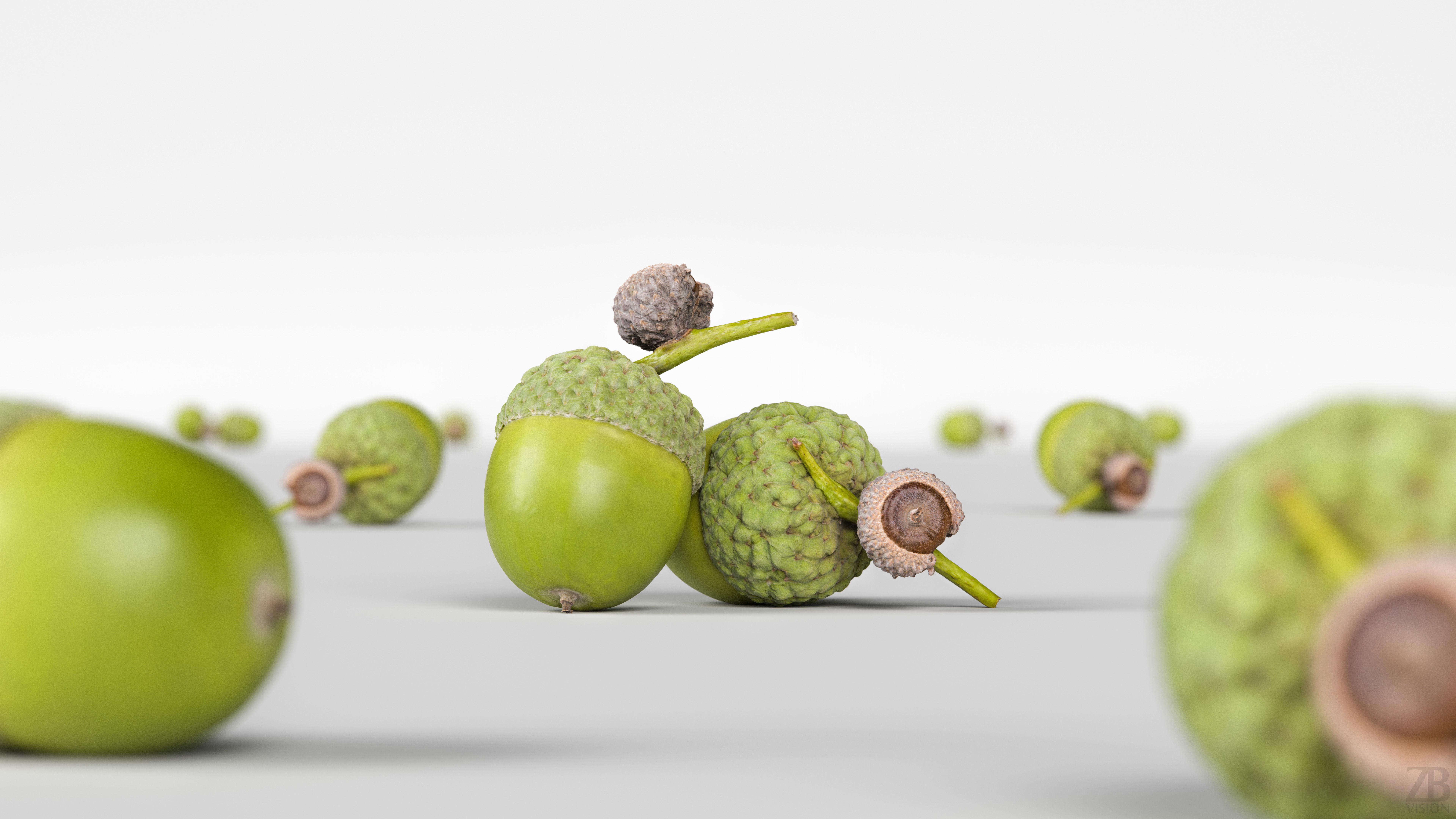 Acorn 3D model_1