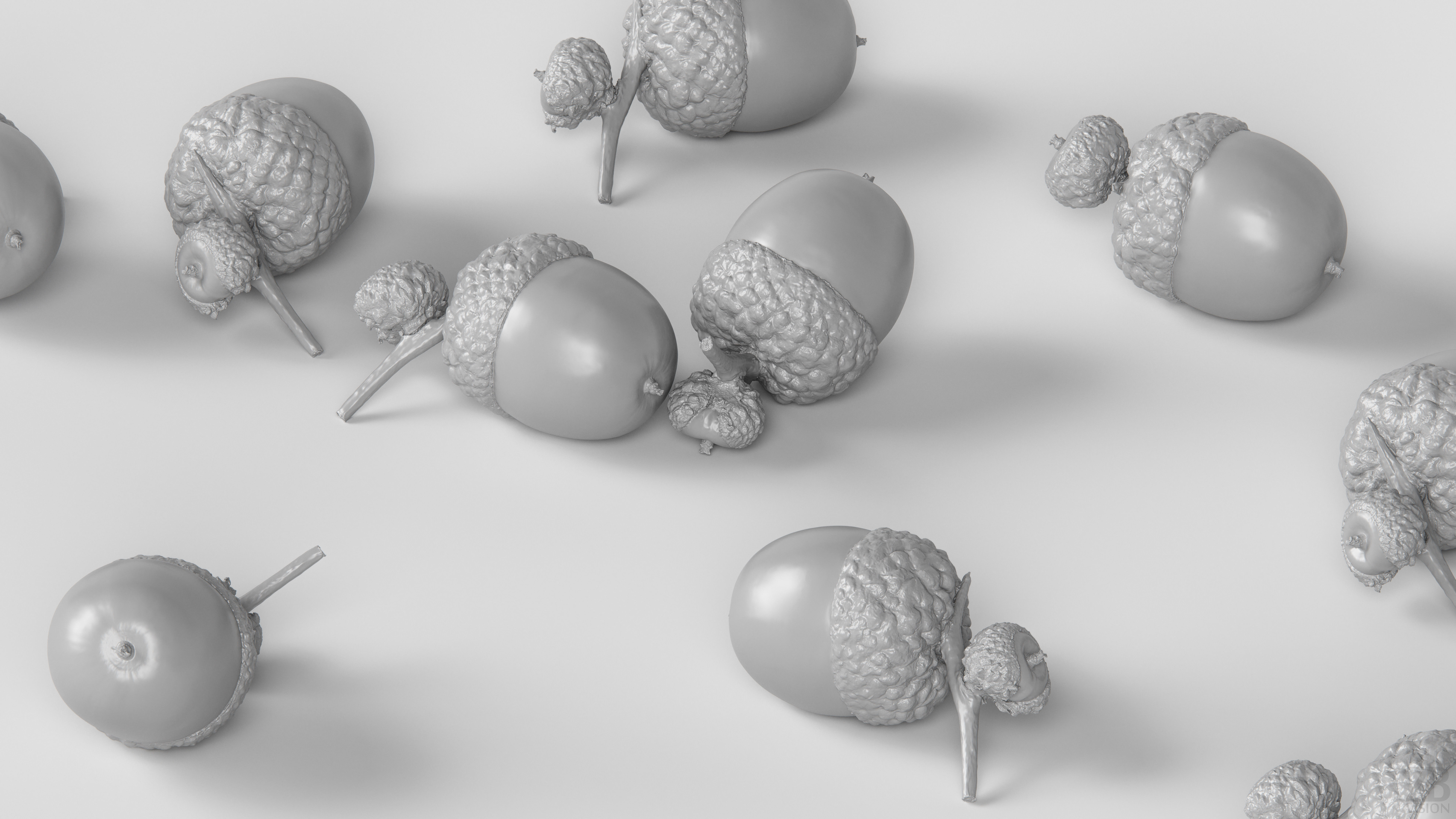 Acorn 3D model_3