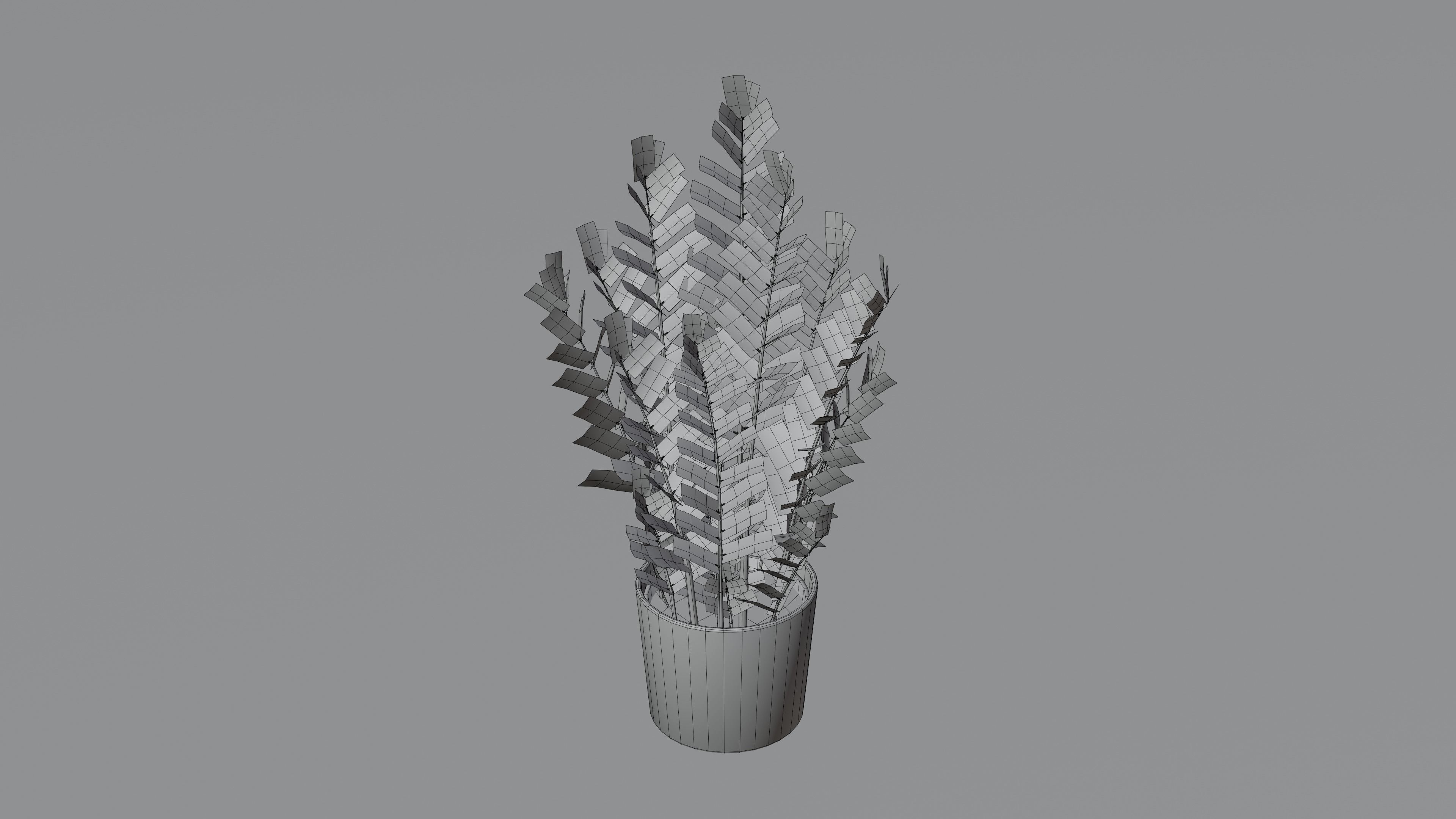 Zamioculcas Zamiifolia Low-poly 3D model_8