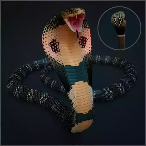 Spectacled Cobra Rig Low-poly 3D model