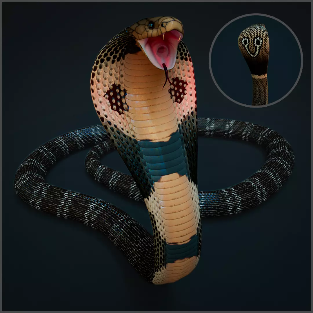 Spectacled Cobra Rig Low-poly 3D model_0