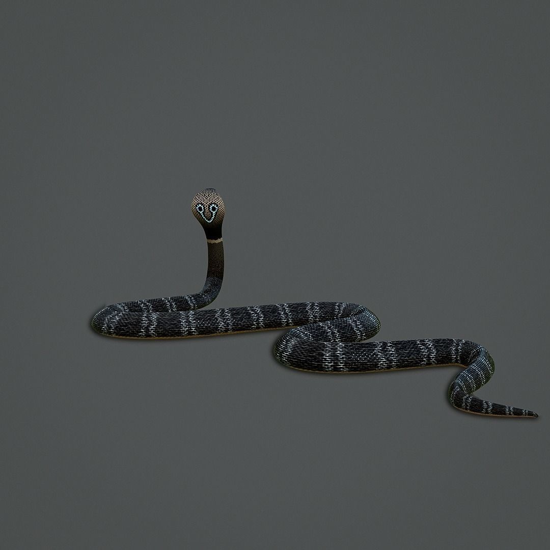 Spectacled Cobra Rig Low-poly 3D model_4