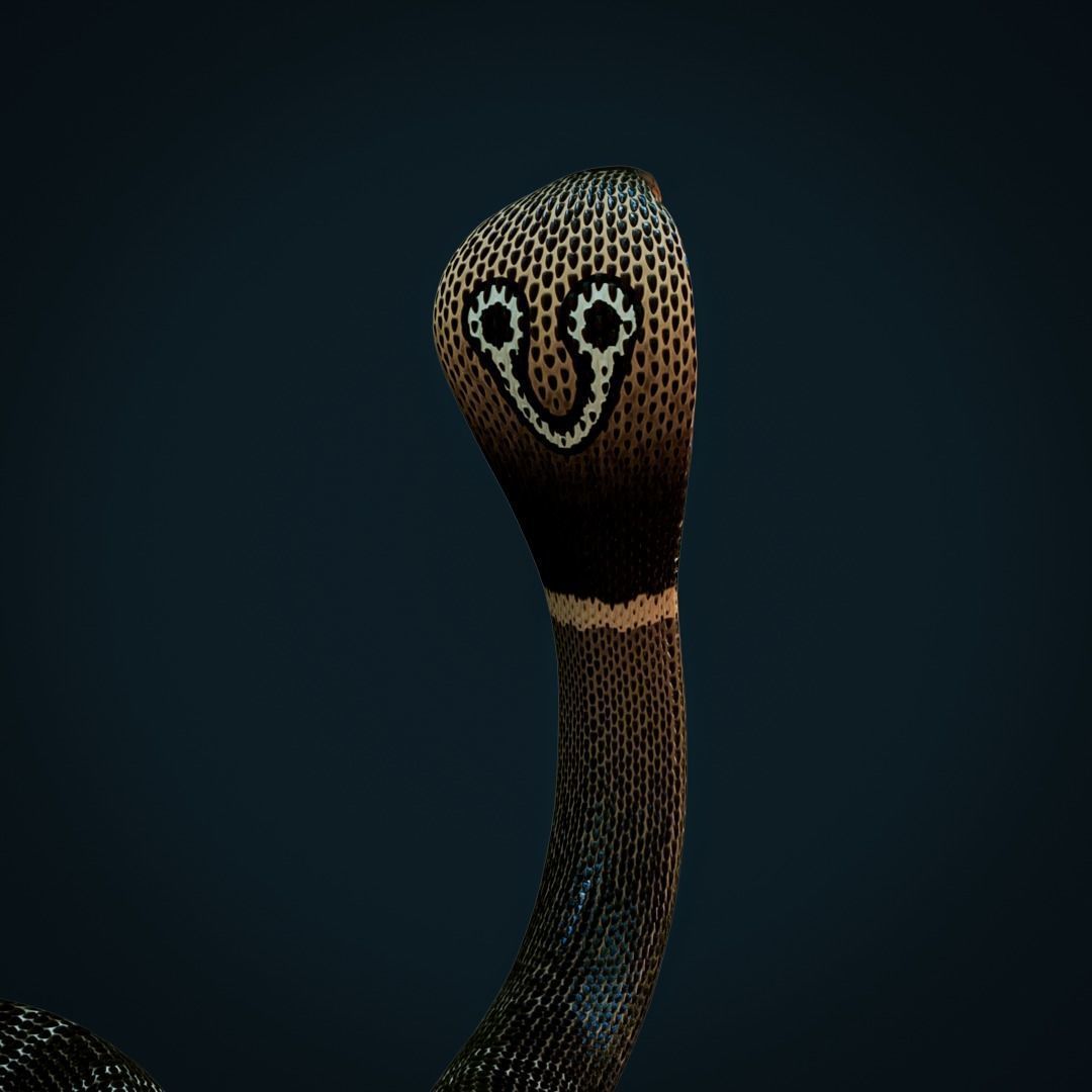 Spectacled Cobra Rig Low-poly 3D model_5