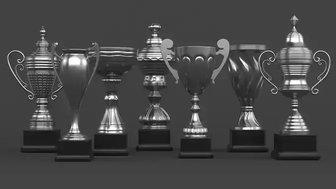 Trophy Cups