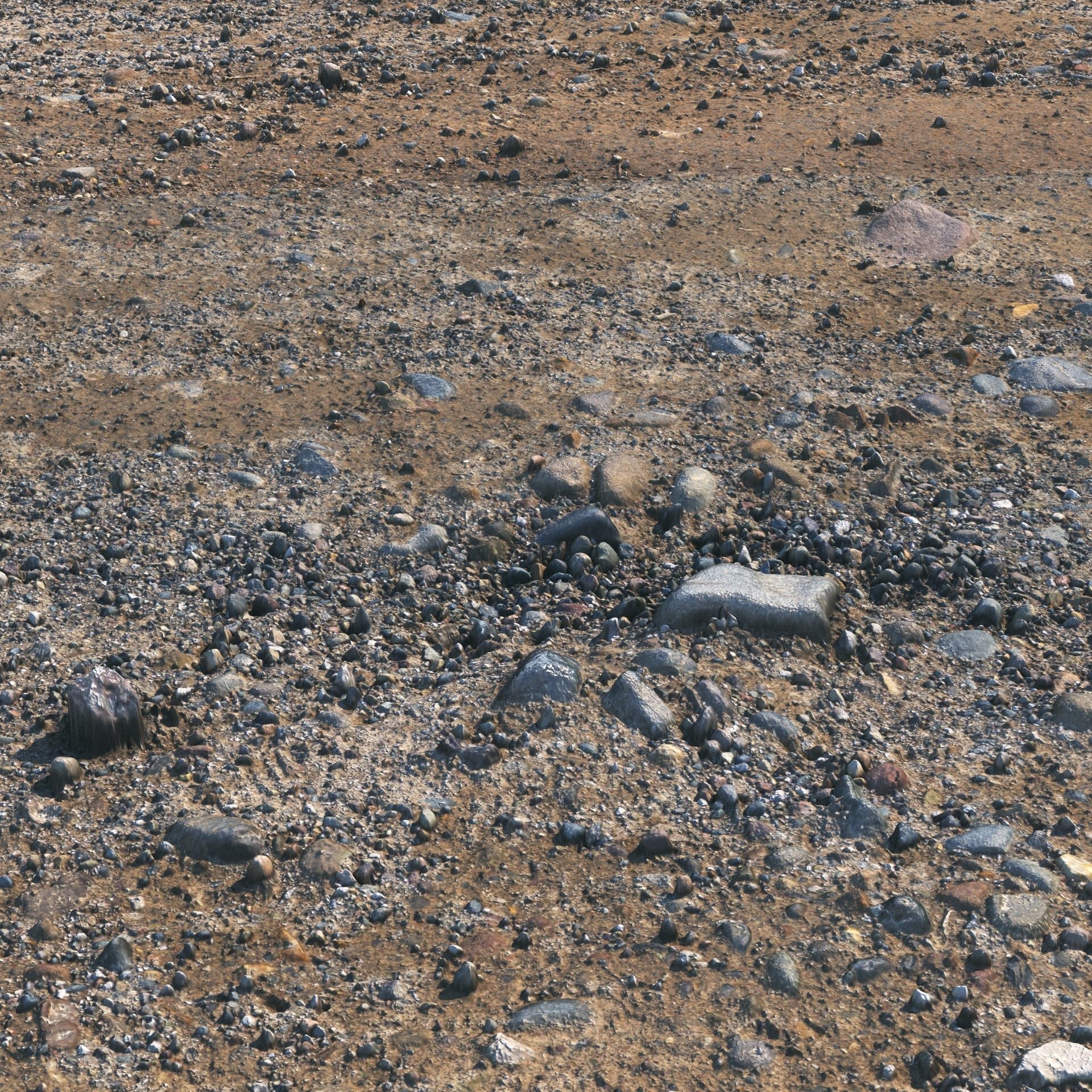 Ground material with stones 04 3D model_4