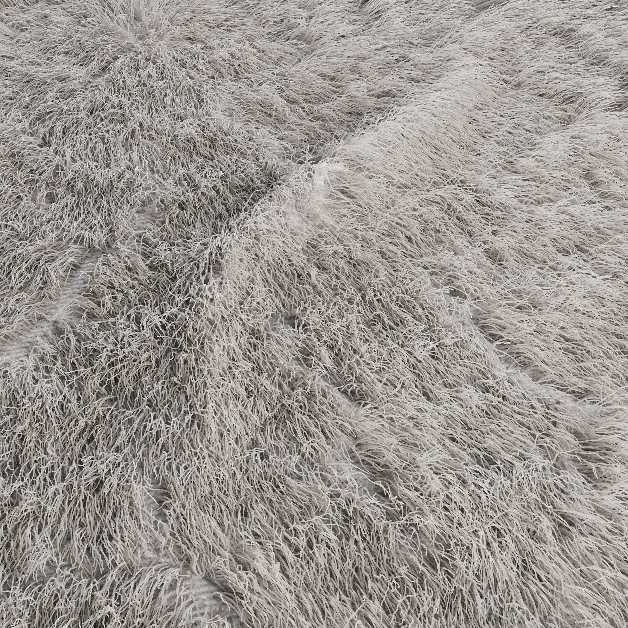 Cozy Fur Carpet 3D model_4