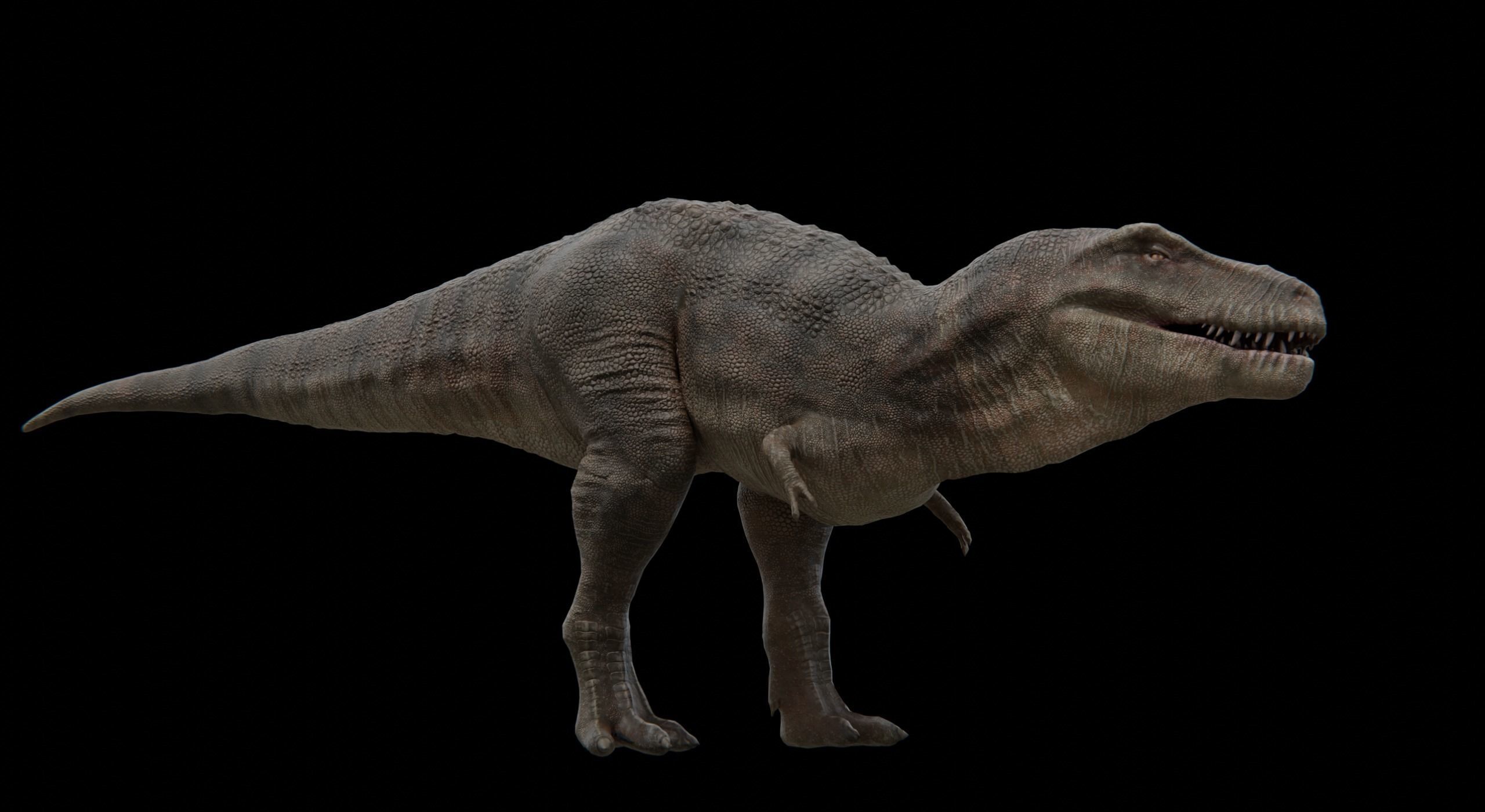 Monster Tyrannosaurus Rex Dinosaur Low-poly 3D model_20