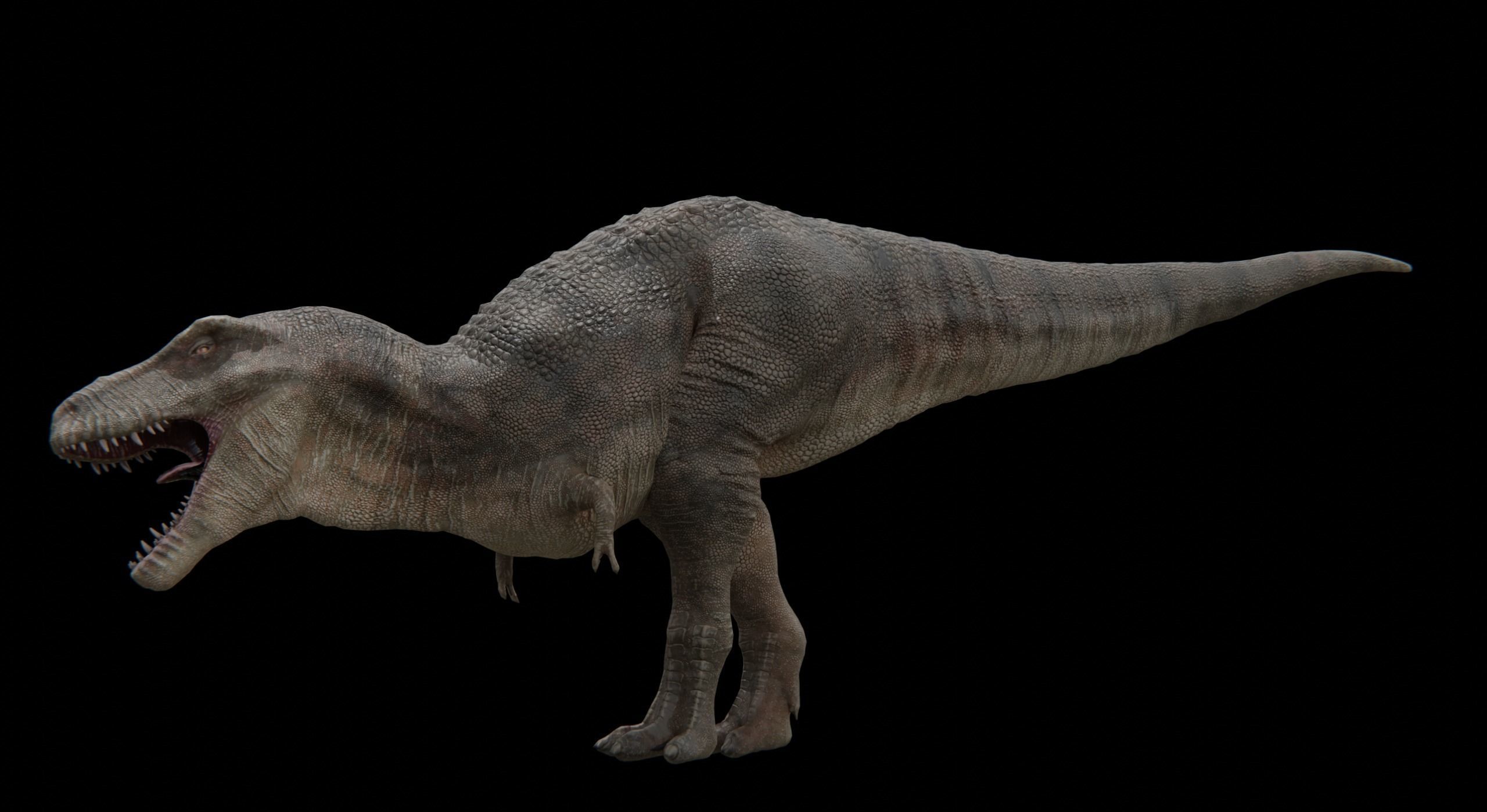 Monster Tyrannosaurus Rex Dinosaur Low-poly 3D model_24