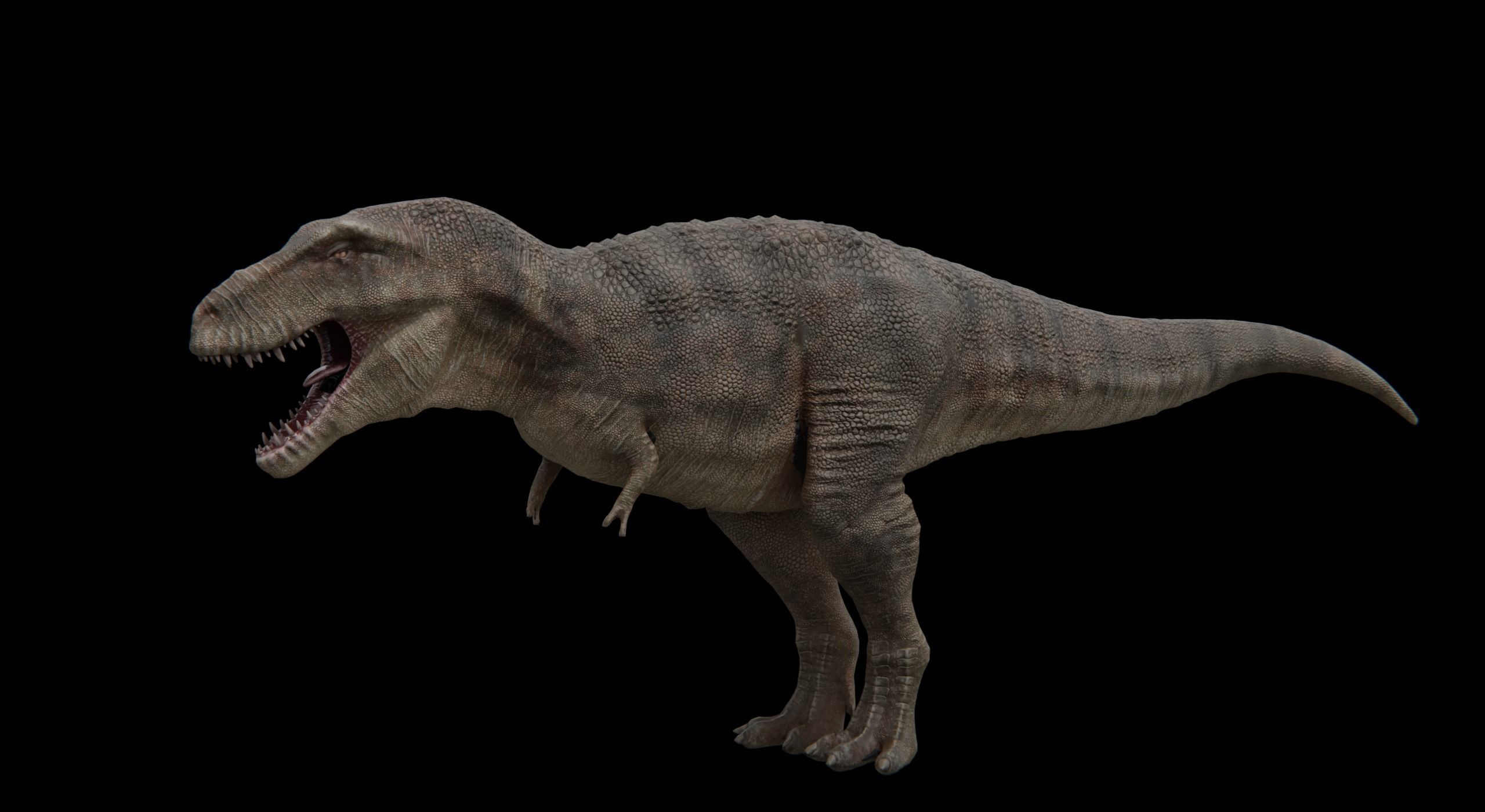 Monster Tyrannosaurus Rex Dinosaur Low-poly 3D model_11