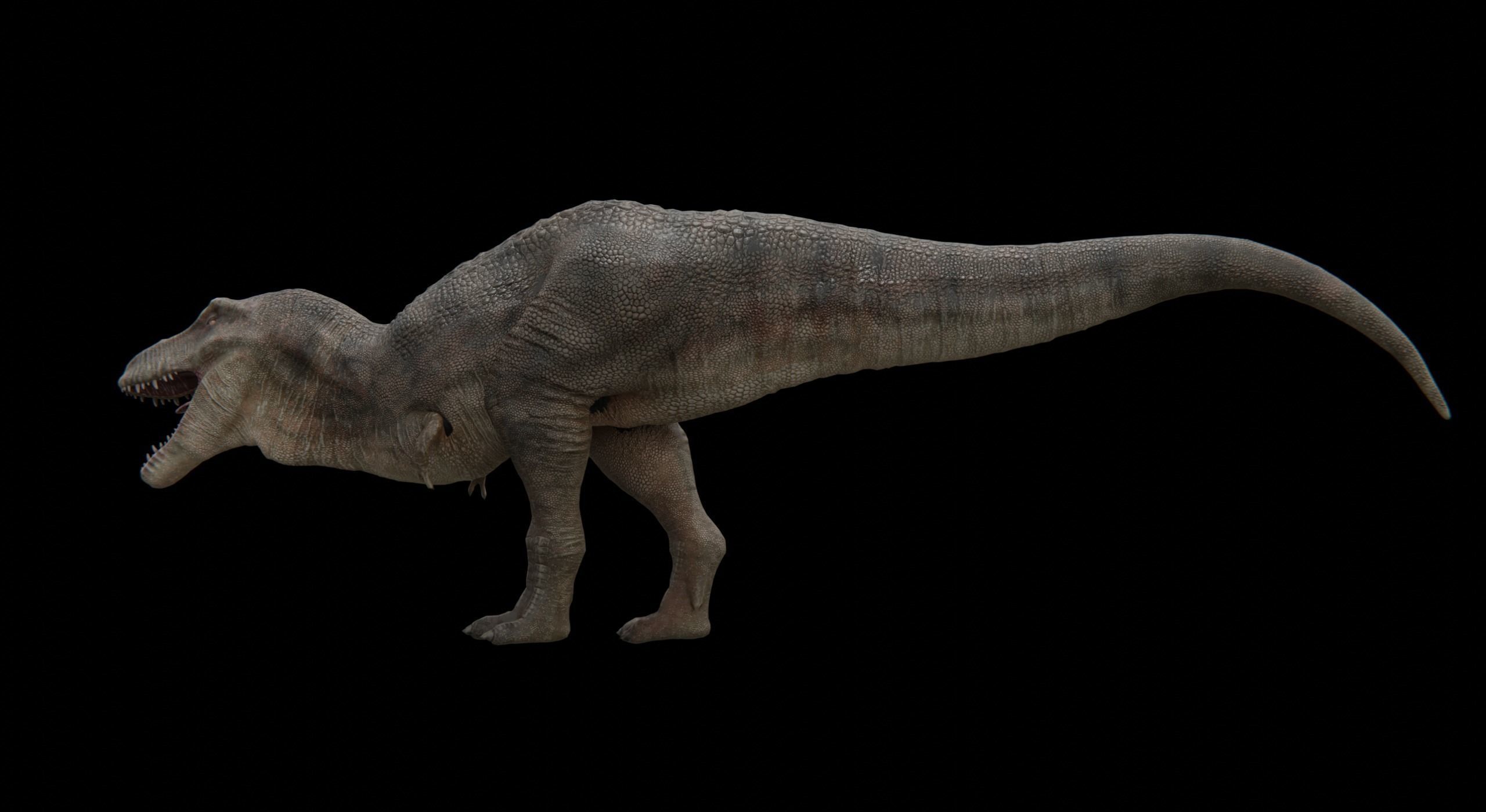 Monster Tyrannosaurus Rex Dinosaur Low-poly 3D model_15