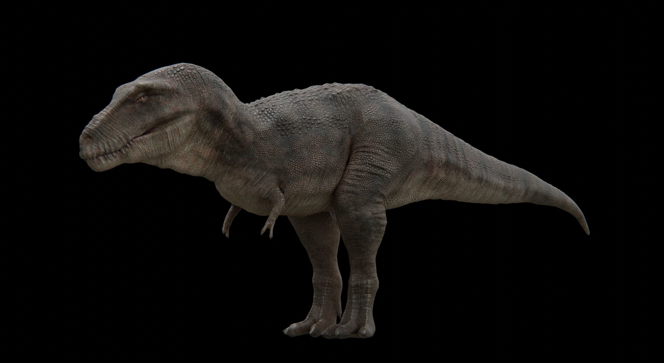 Monster Tyrannosaurus Rex Dinosaur Low-poly 3D model_17