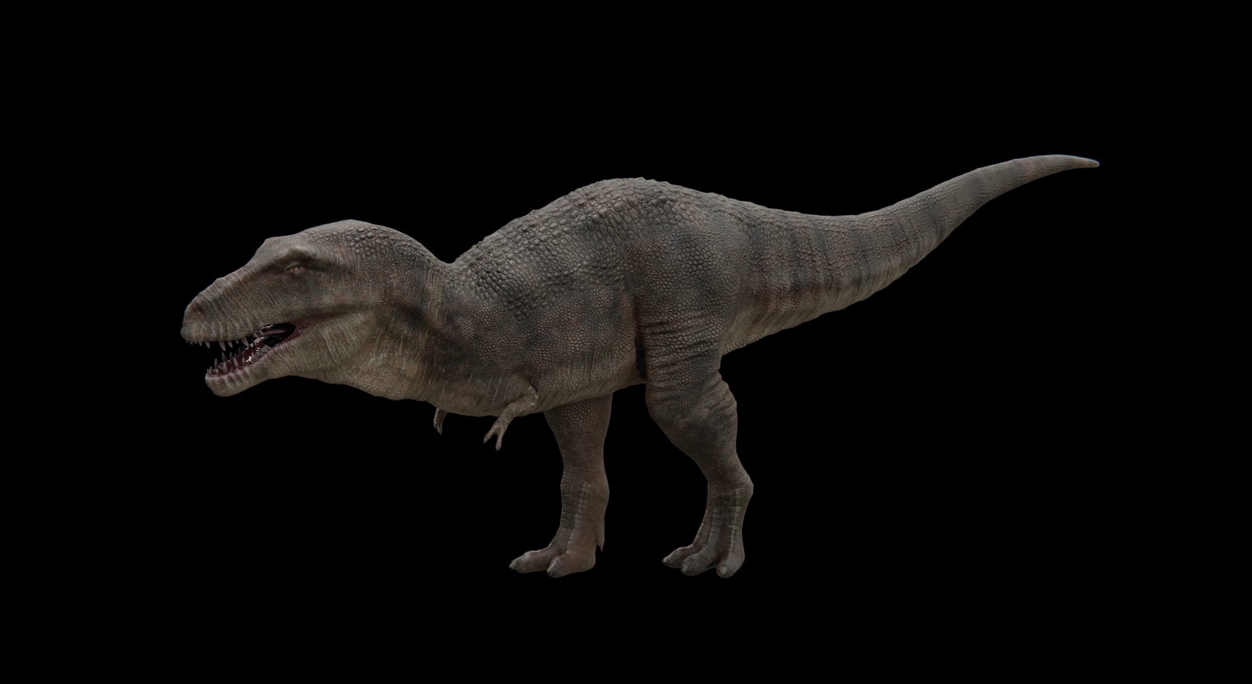 Monster Tyrannosaurus Rex Dinosaur Low-poly 3D model_14