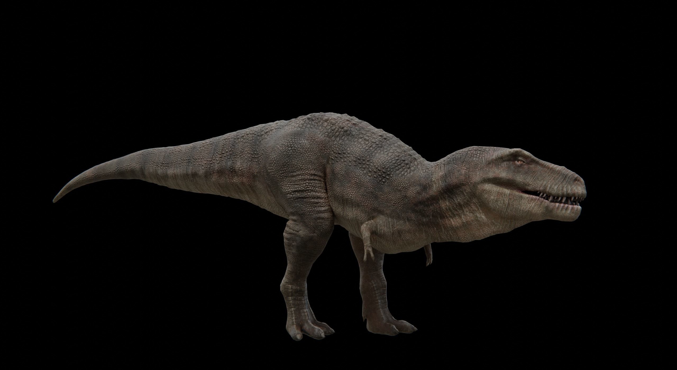 Monster Tyrannosaurus Rex Dinosaur Low-poly 3D model_18