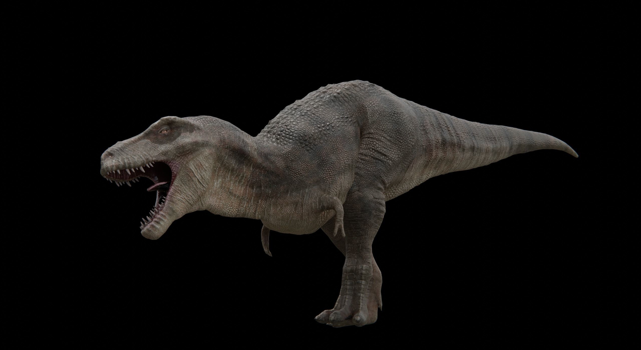 Monster Tyrannosaurus Rex Dinosaur Low-poly 3D model_21