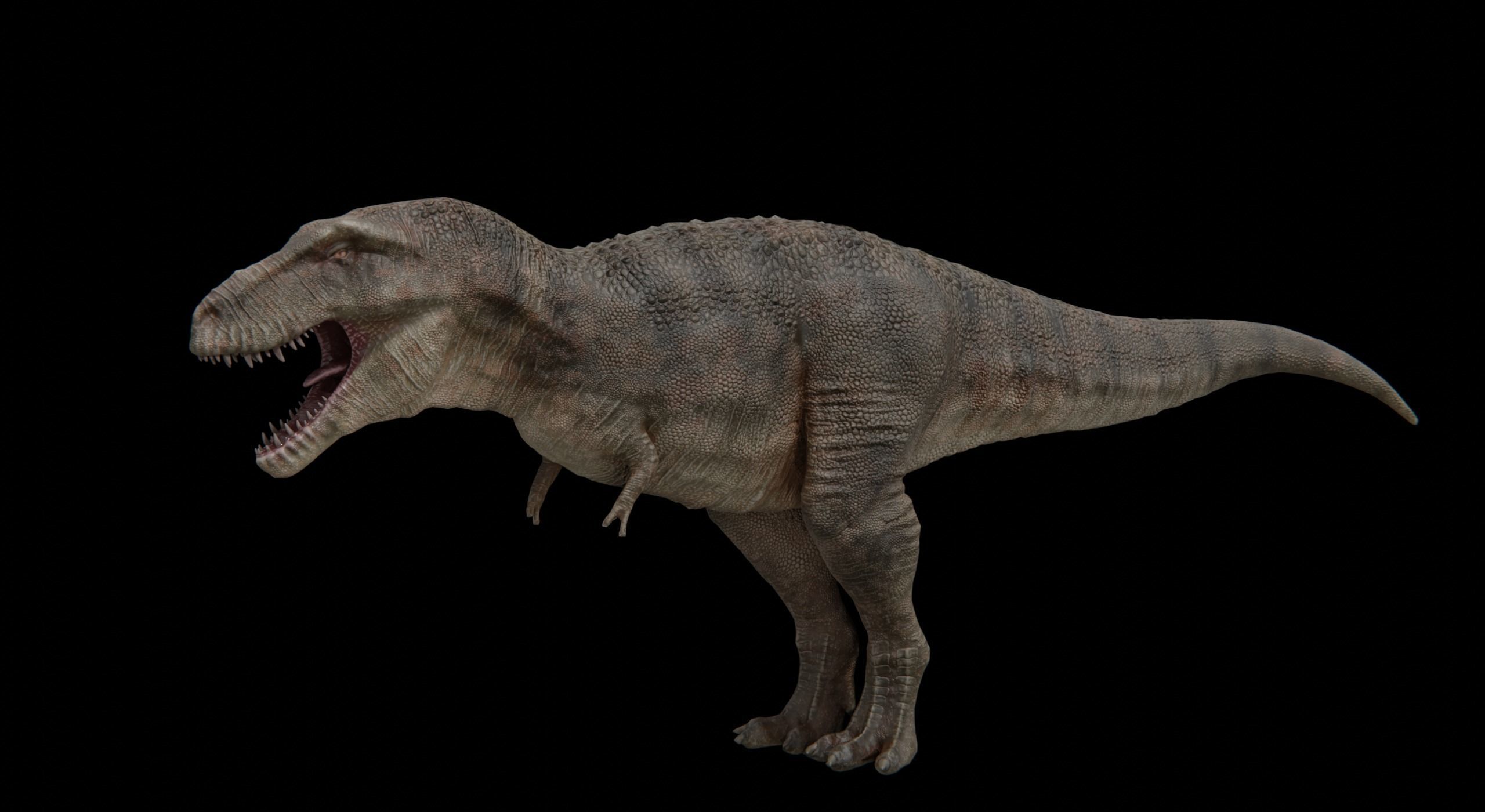 Monster Tyrannosaurus Rex Dinosaur Low-poly 3D model_12