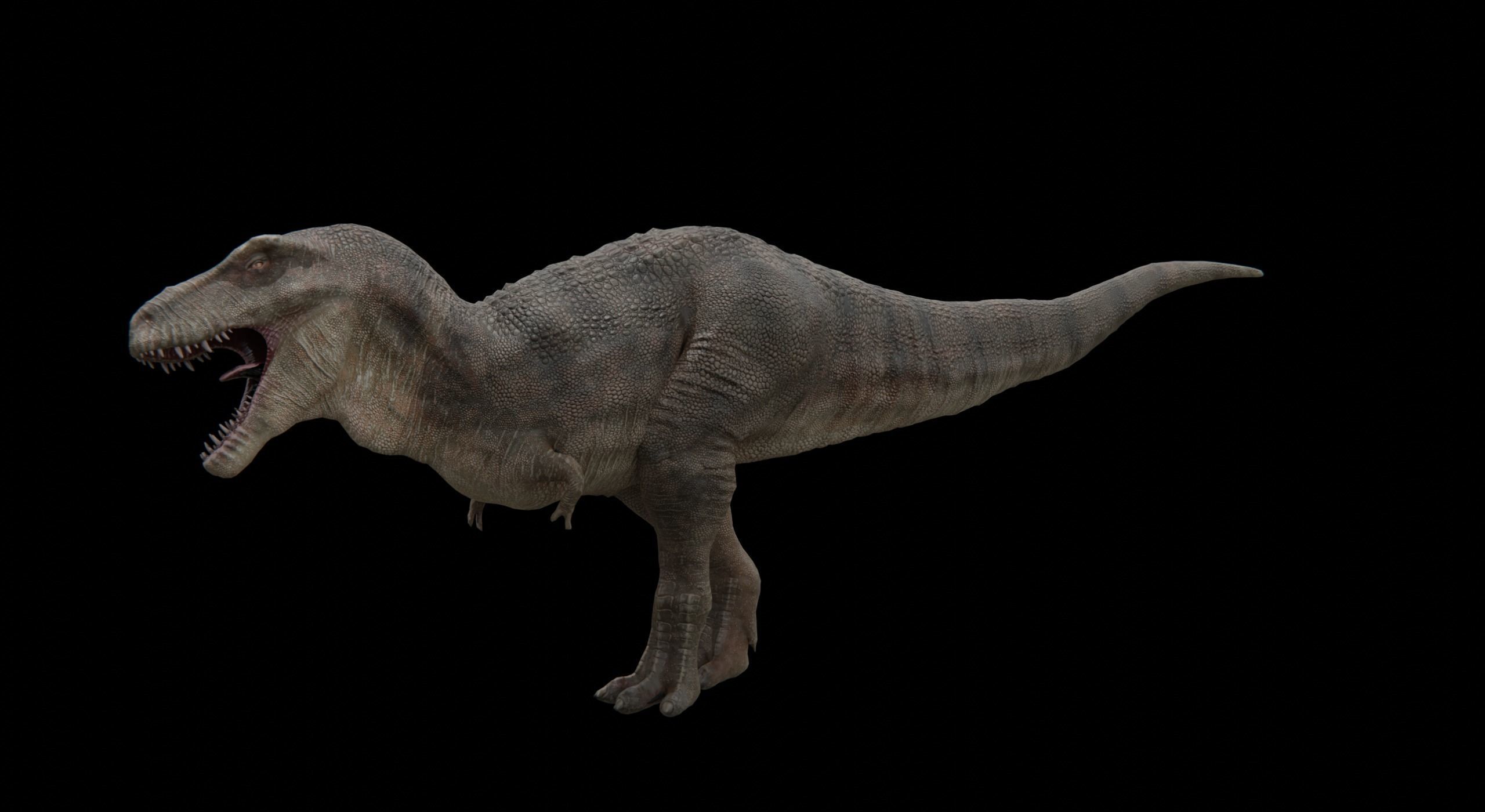 Monster Tyrannosaurus Rex Dinosaur Low-poly 3D model_10