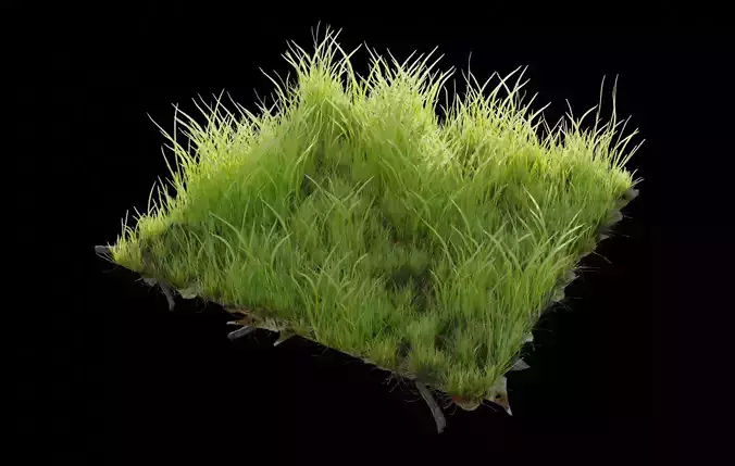 Realistic Grass Generator