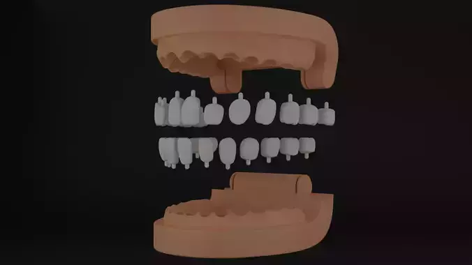 Collapsible 3d model of teeth 3D print model