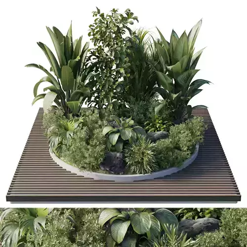 Garden of Plants shrubs palm - outdoor garden set 167 Low-poly 3D model
