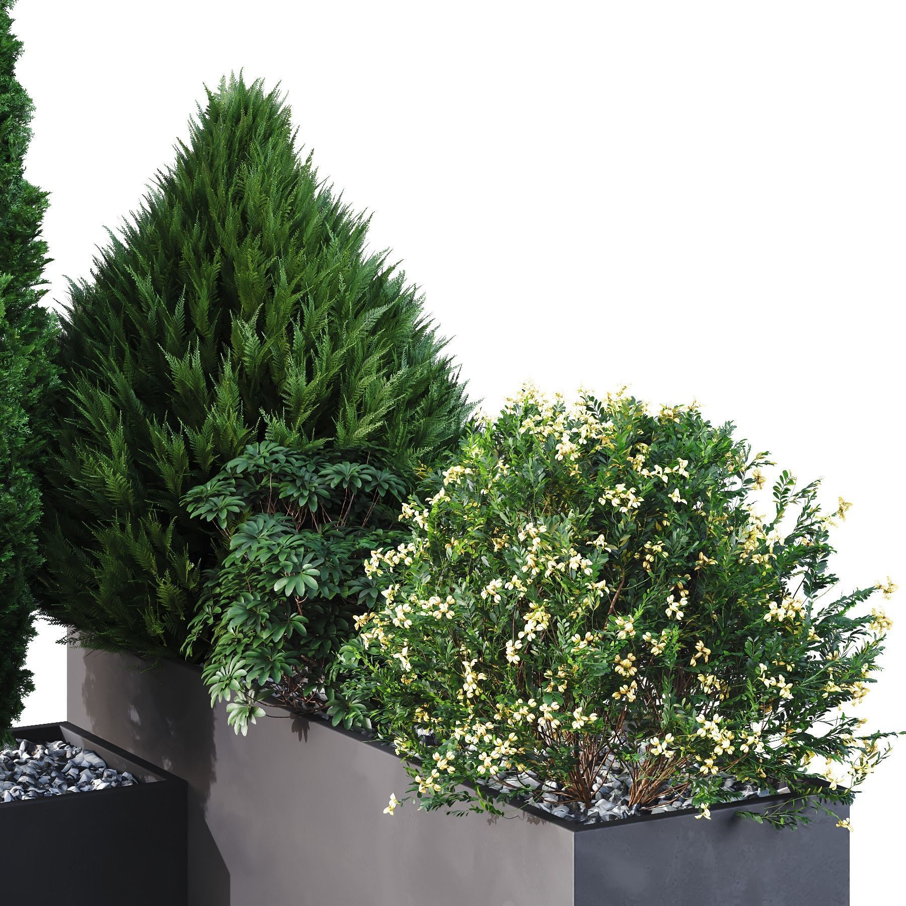HQ Tree and bush garden box outdoor VOL 04 Free 3D model_1