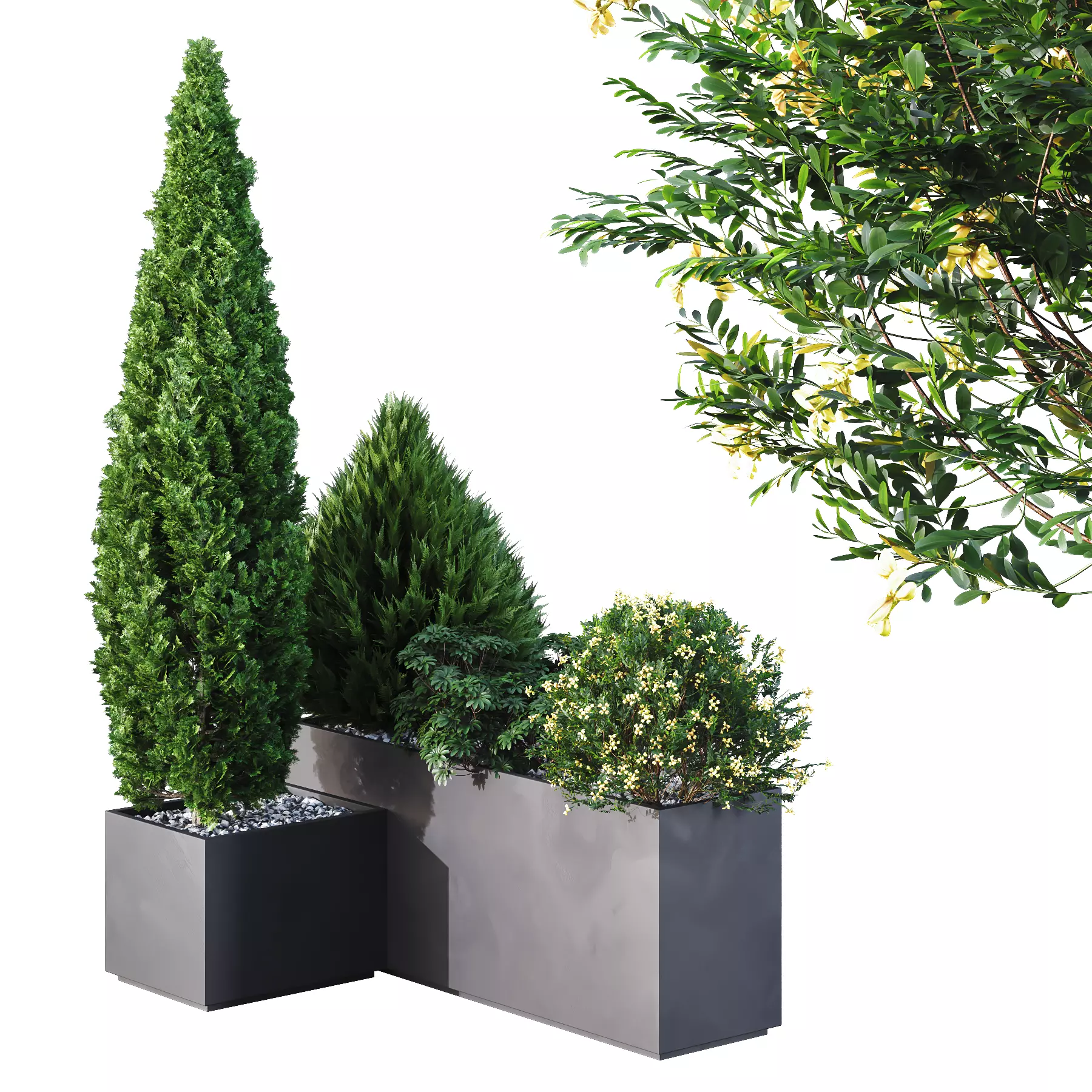 HQ Tree and bush garden box outdoor VOL 04 Free 3D model_0