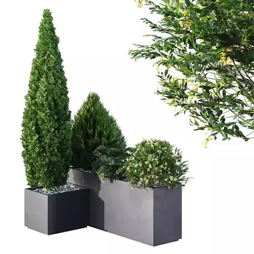 HQ Tree and bush garden box outdoor VOL 04
