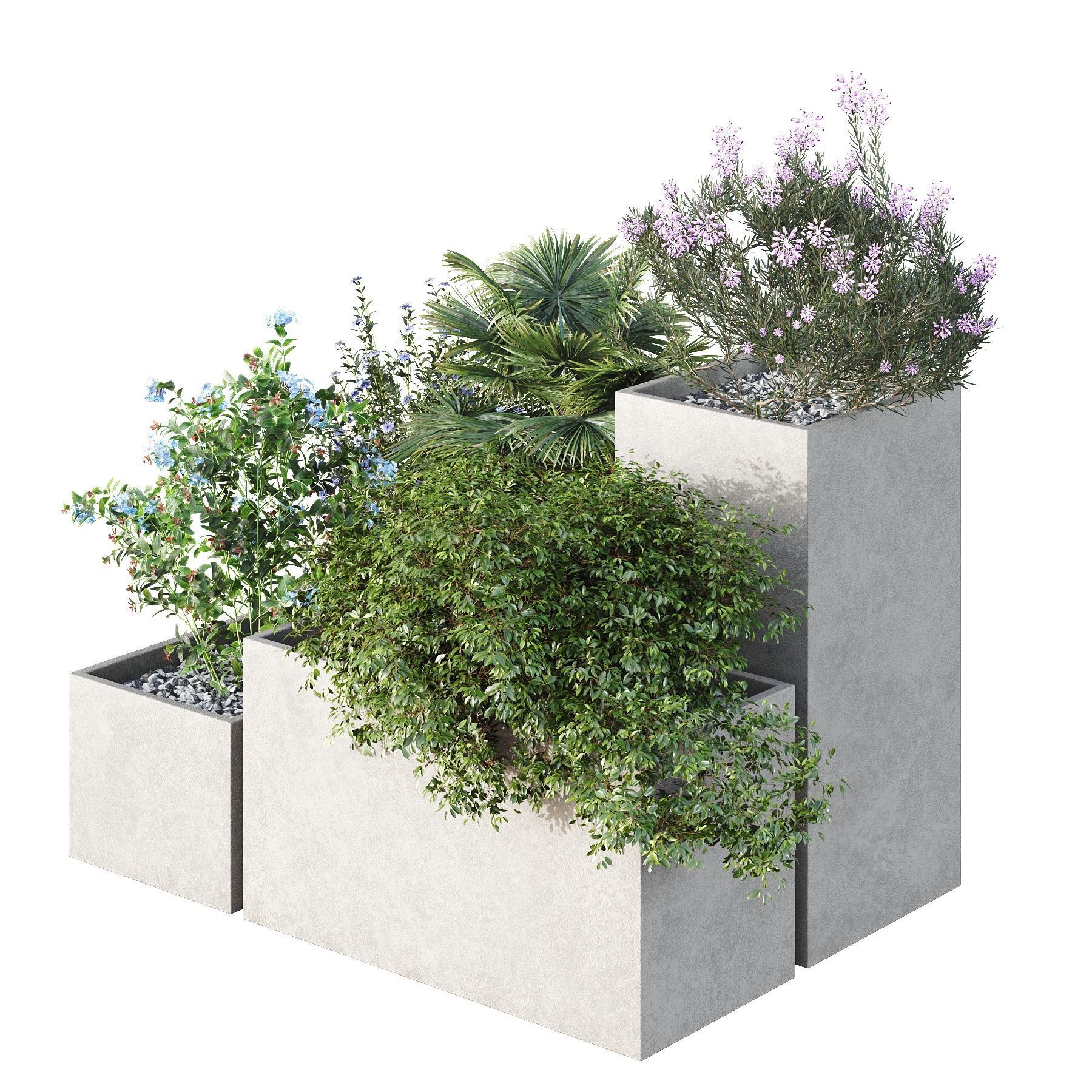 HQ Tree and bush garden box outdoor VOL 07 Free 3D model_1