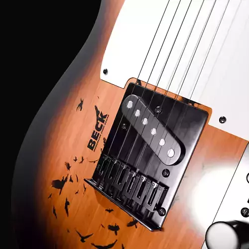 telecaster guitar