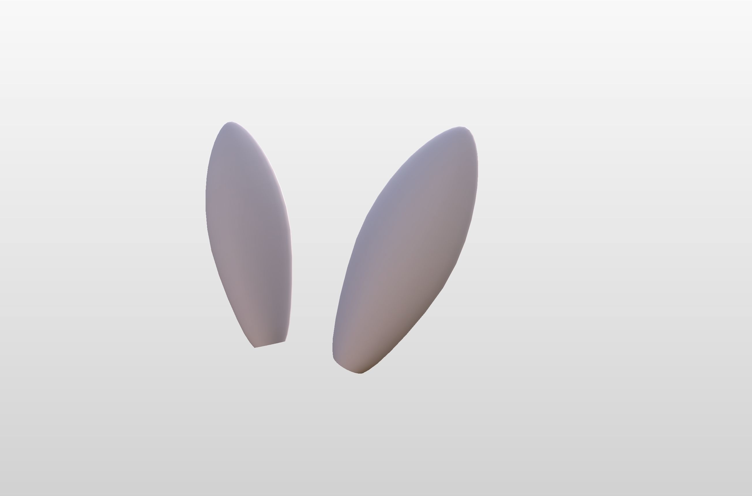 Rabbit Ear 3D model_10