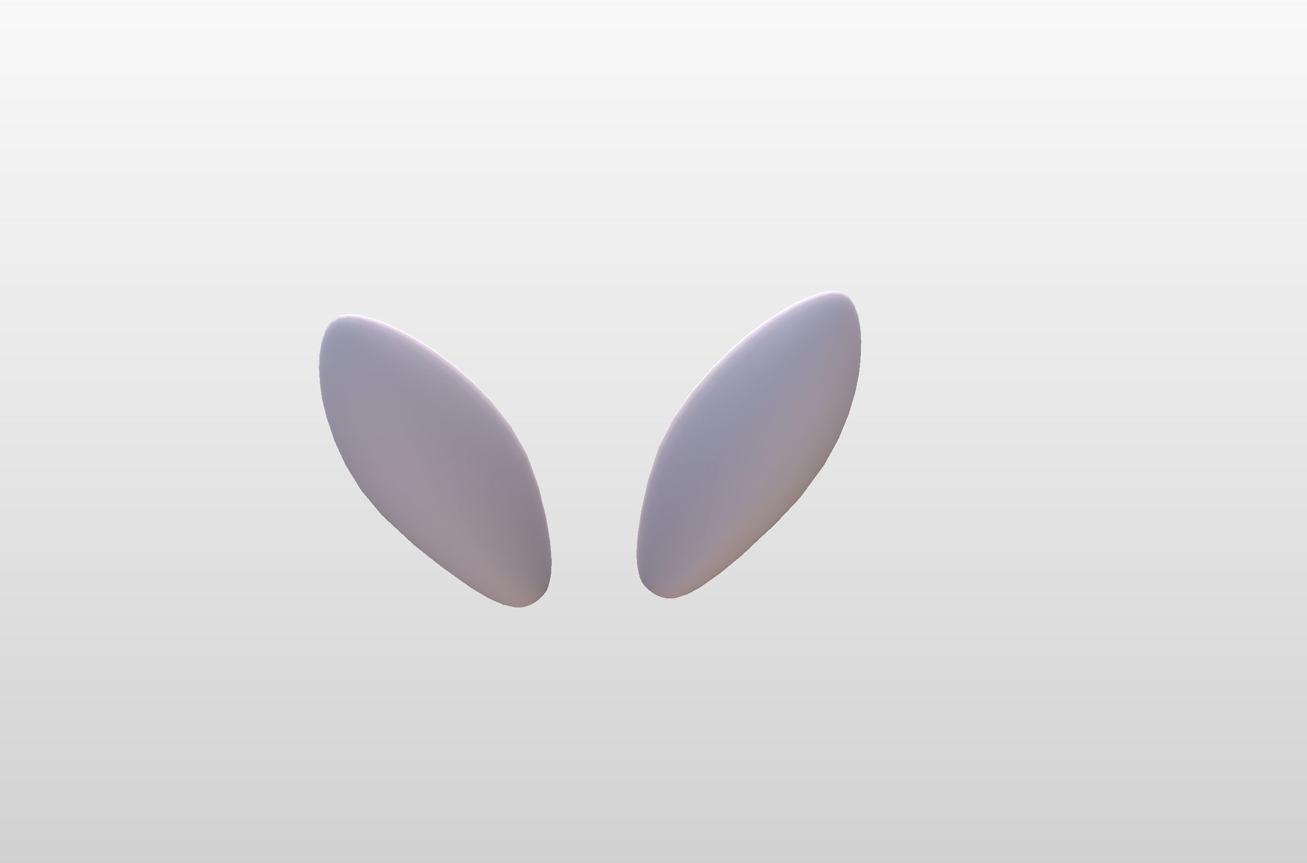 Rabbit Ear 3D model_12