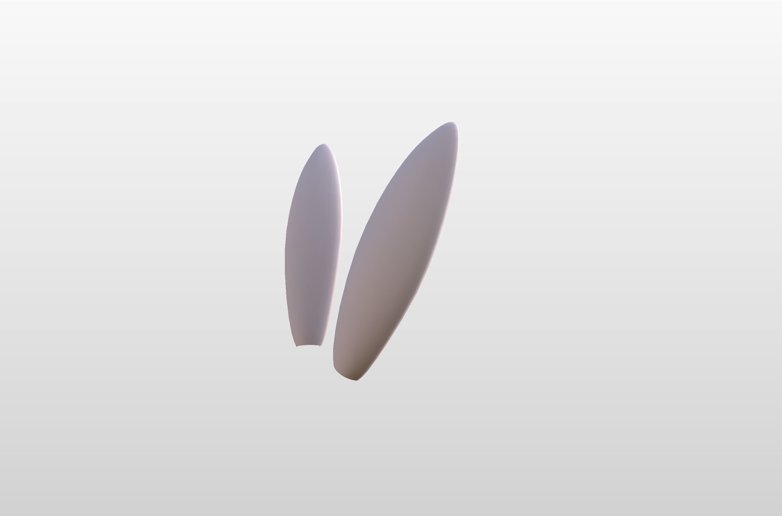 Rabbit Ear 3D model_9