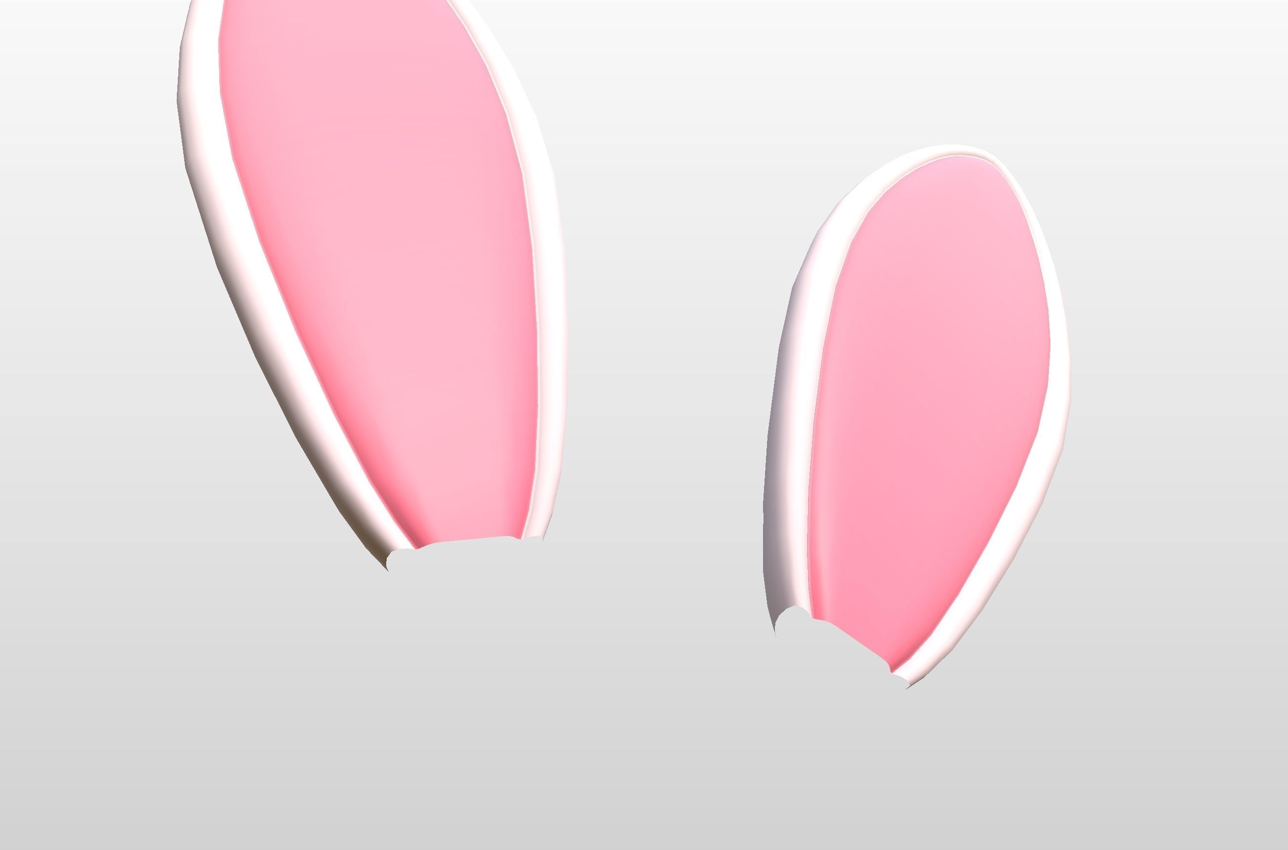 Rabbit Ear 3D model_22