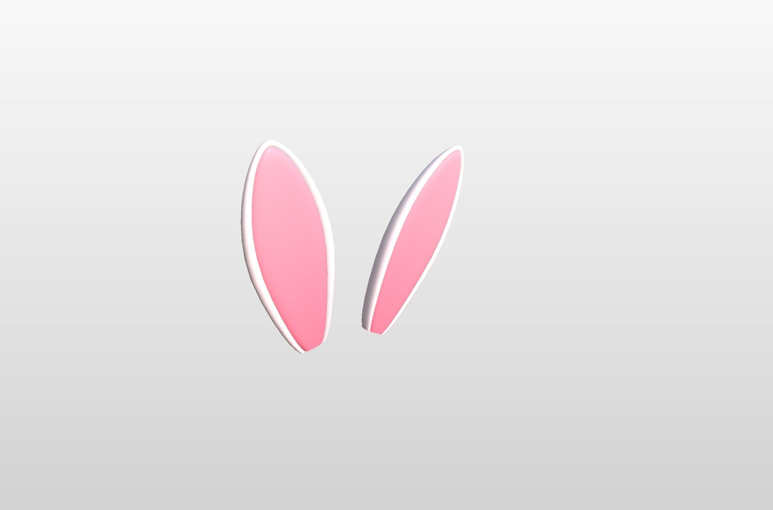 Rabbit Ear 3D model_5