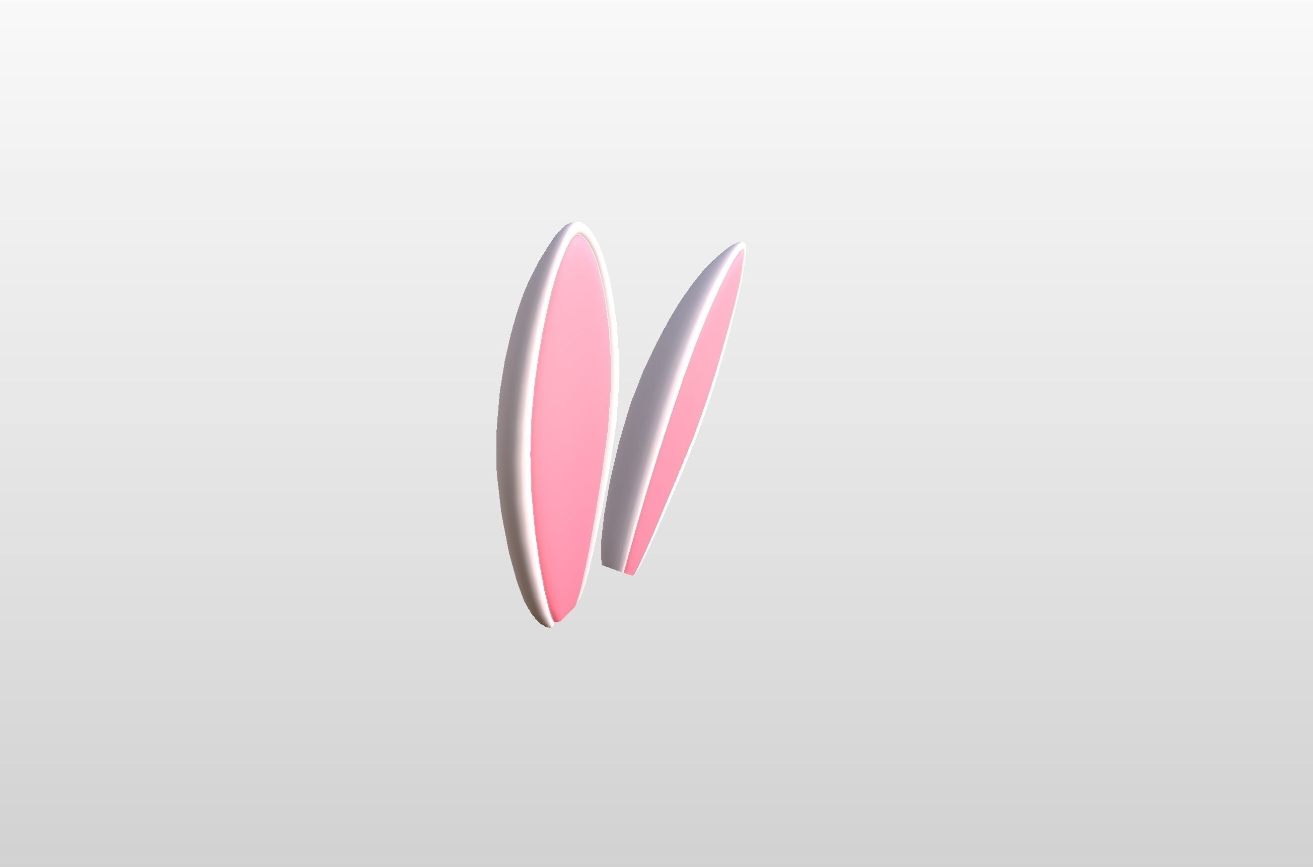 Rabbit Ear 3D model_6