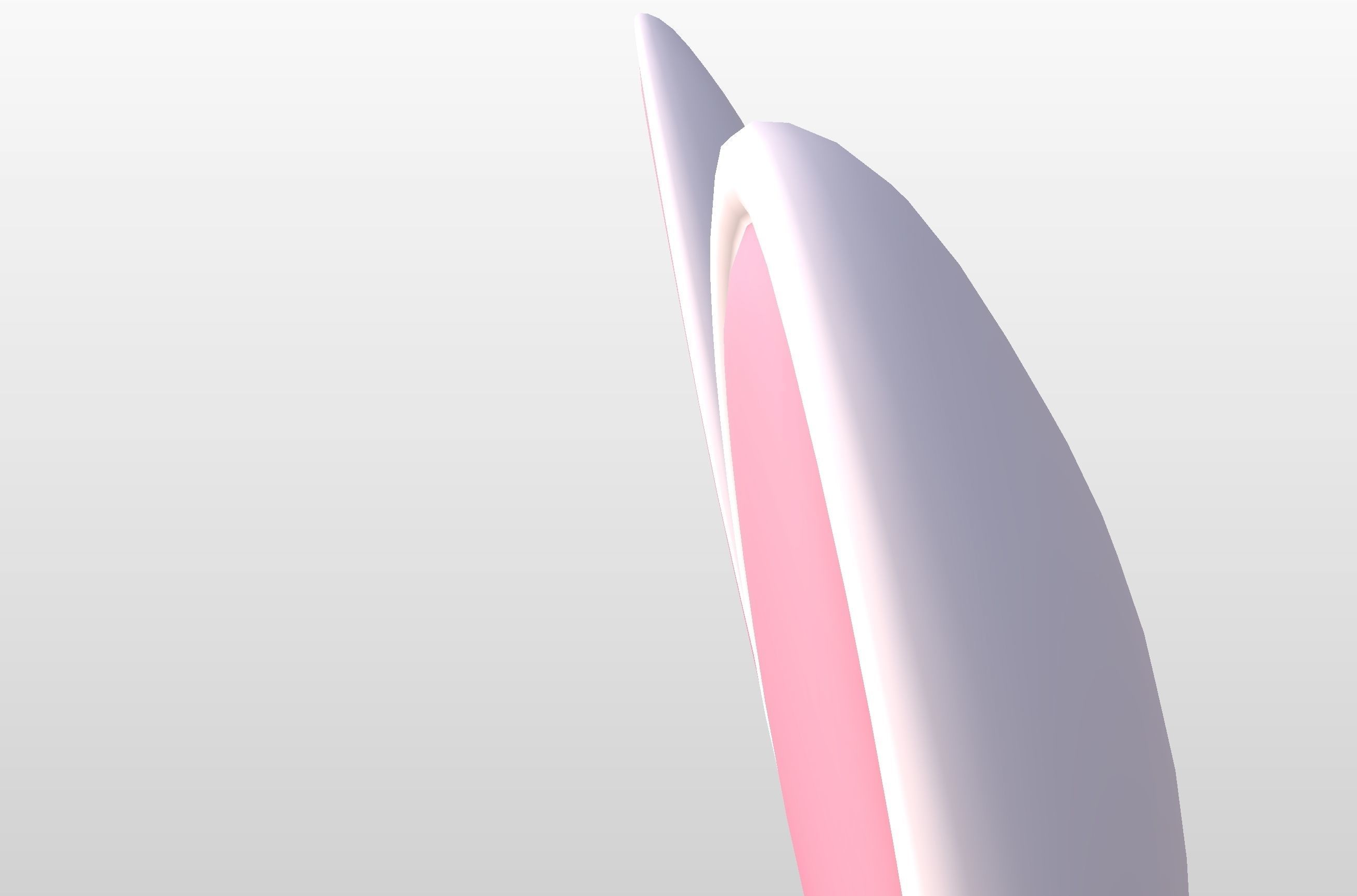 Rabbit Ear 3D model_21
