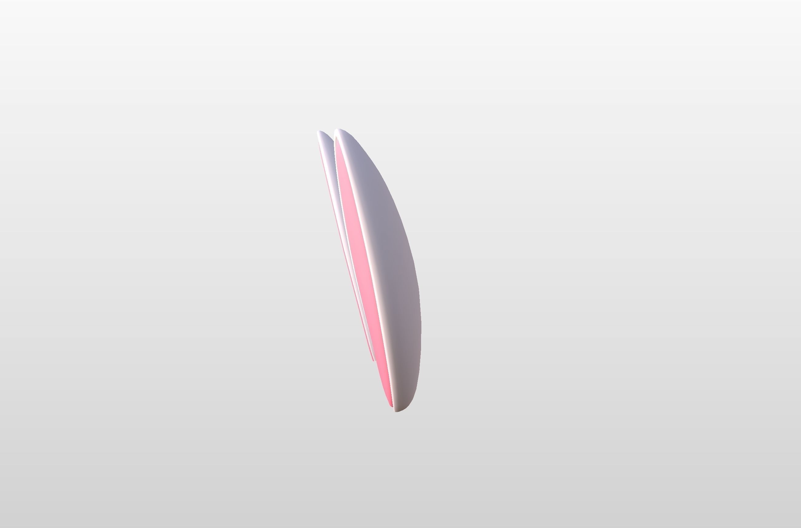 Rabbit Ear 3D model_17