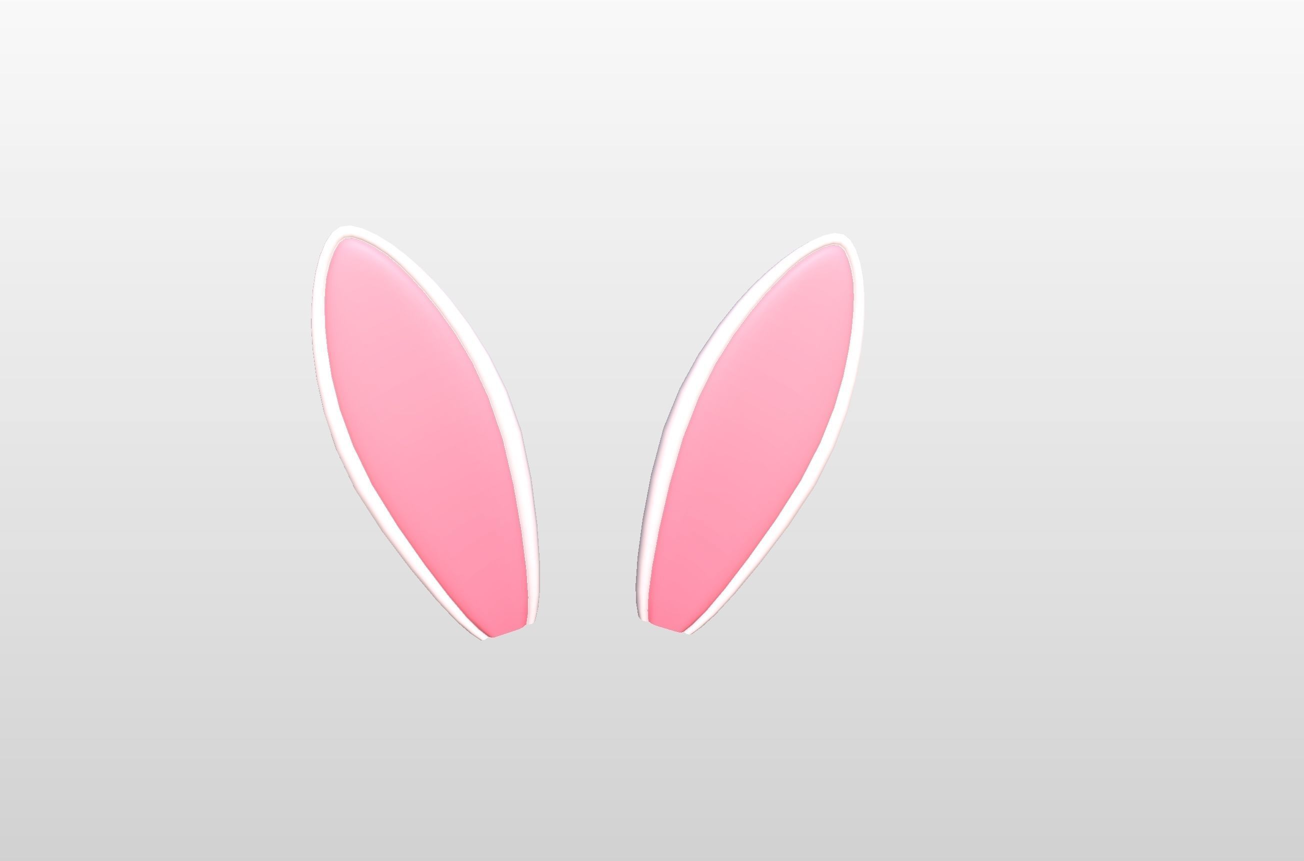 Rabbit Ear 3D model_4