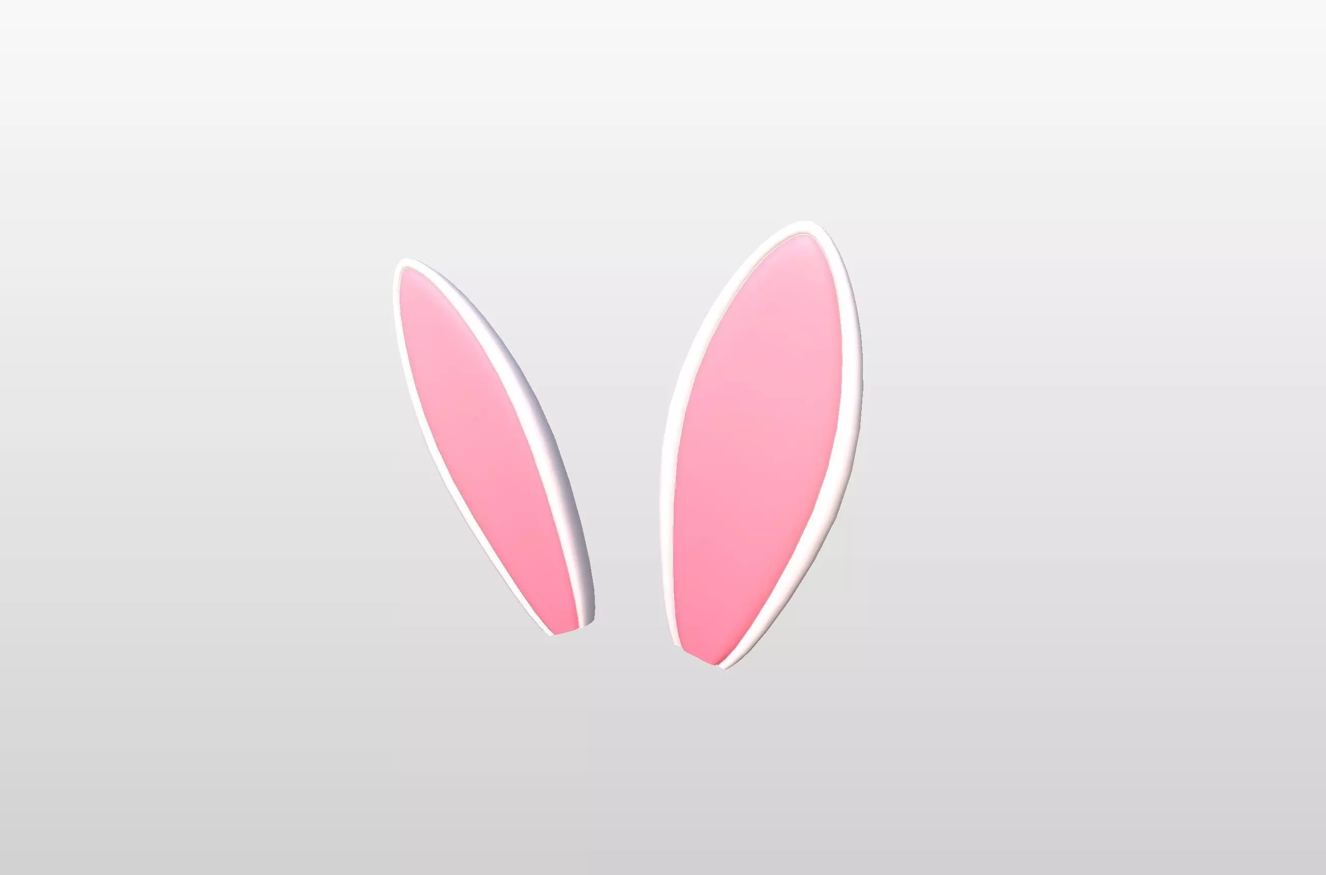 Rabbit Ear 3D model_0