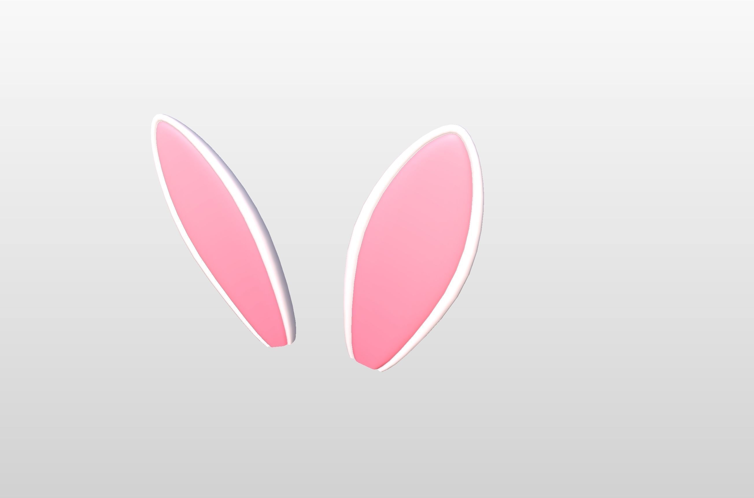Rabbit Ear 3D model_19