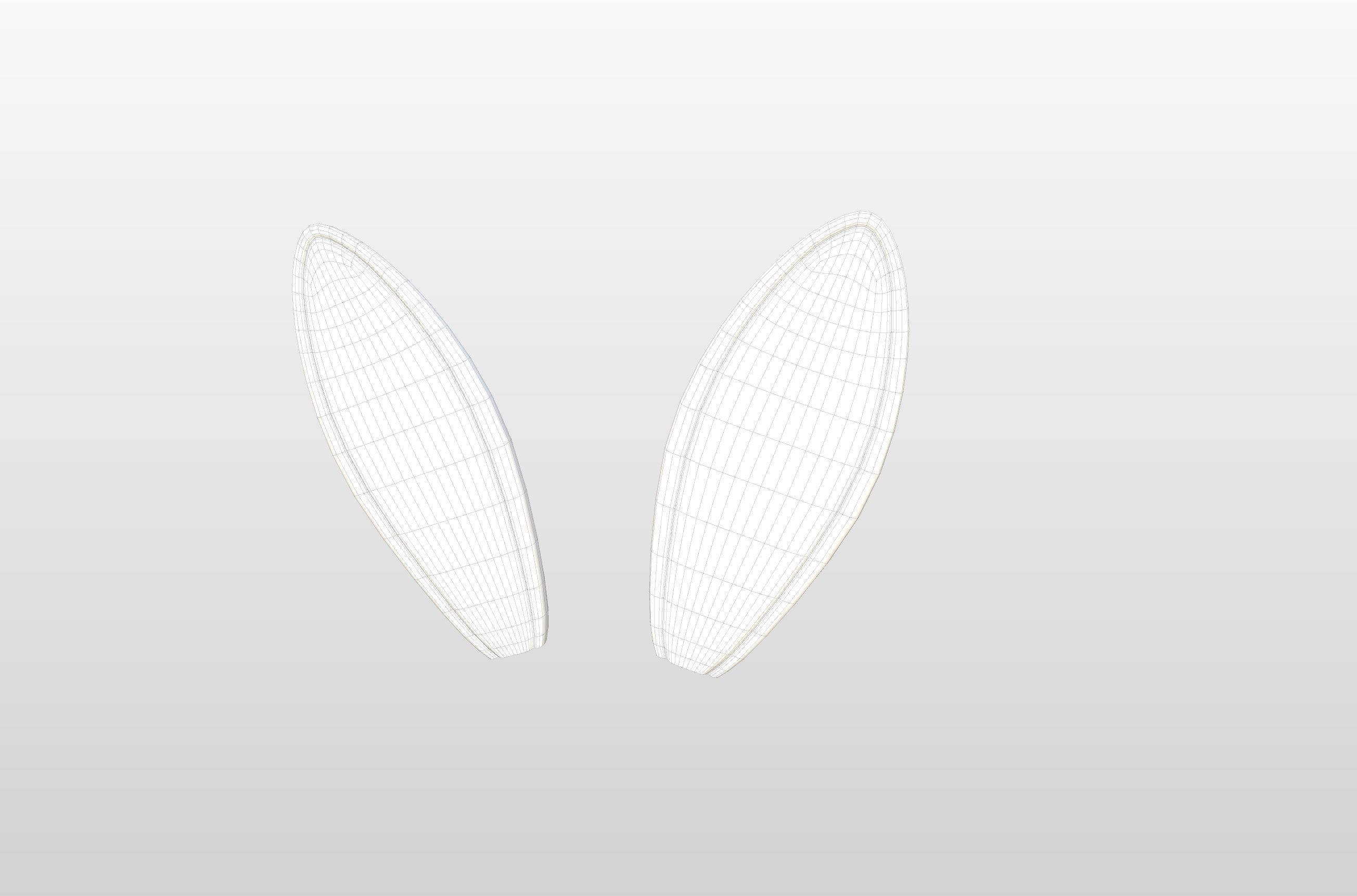 Rabbit Ear 3D model_2