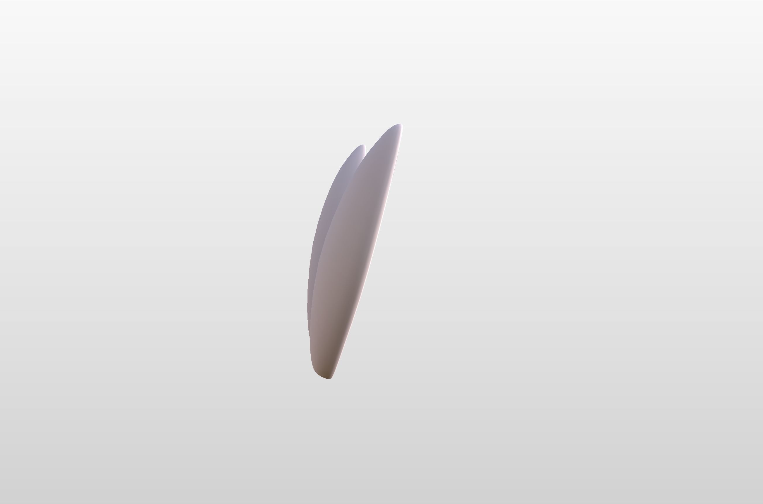 Rabbit Ear 3D model_8