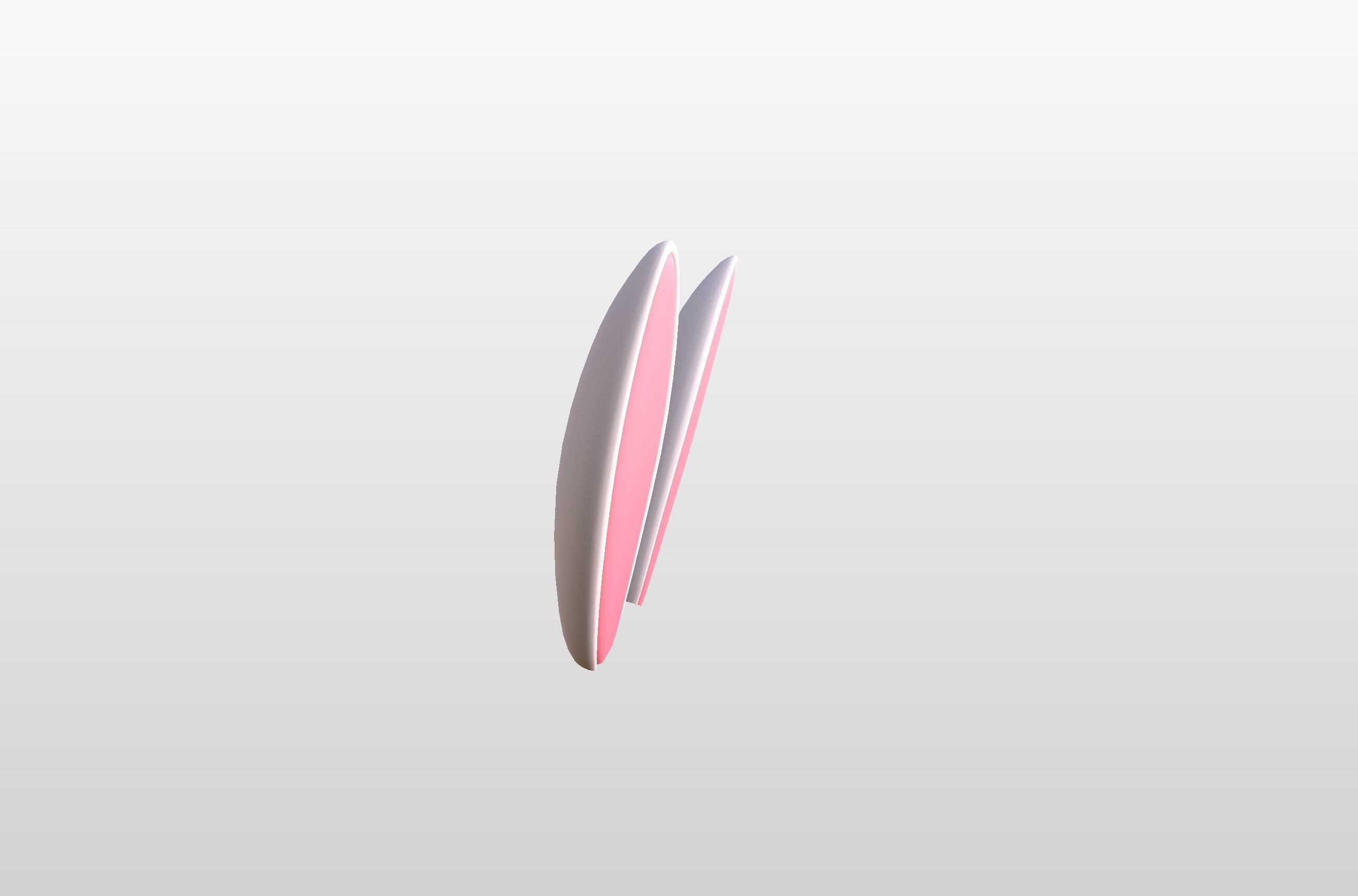 Rabbit Ear 3D model_7