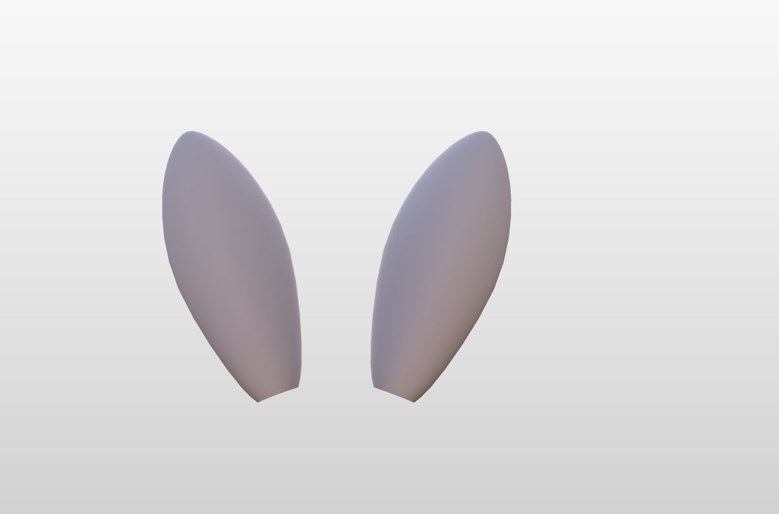 Rabbit Ear 3D model_11