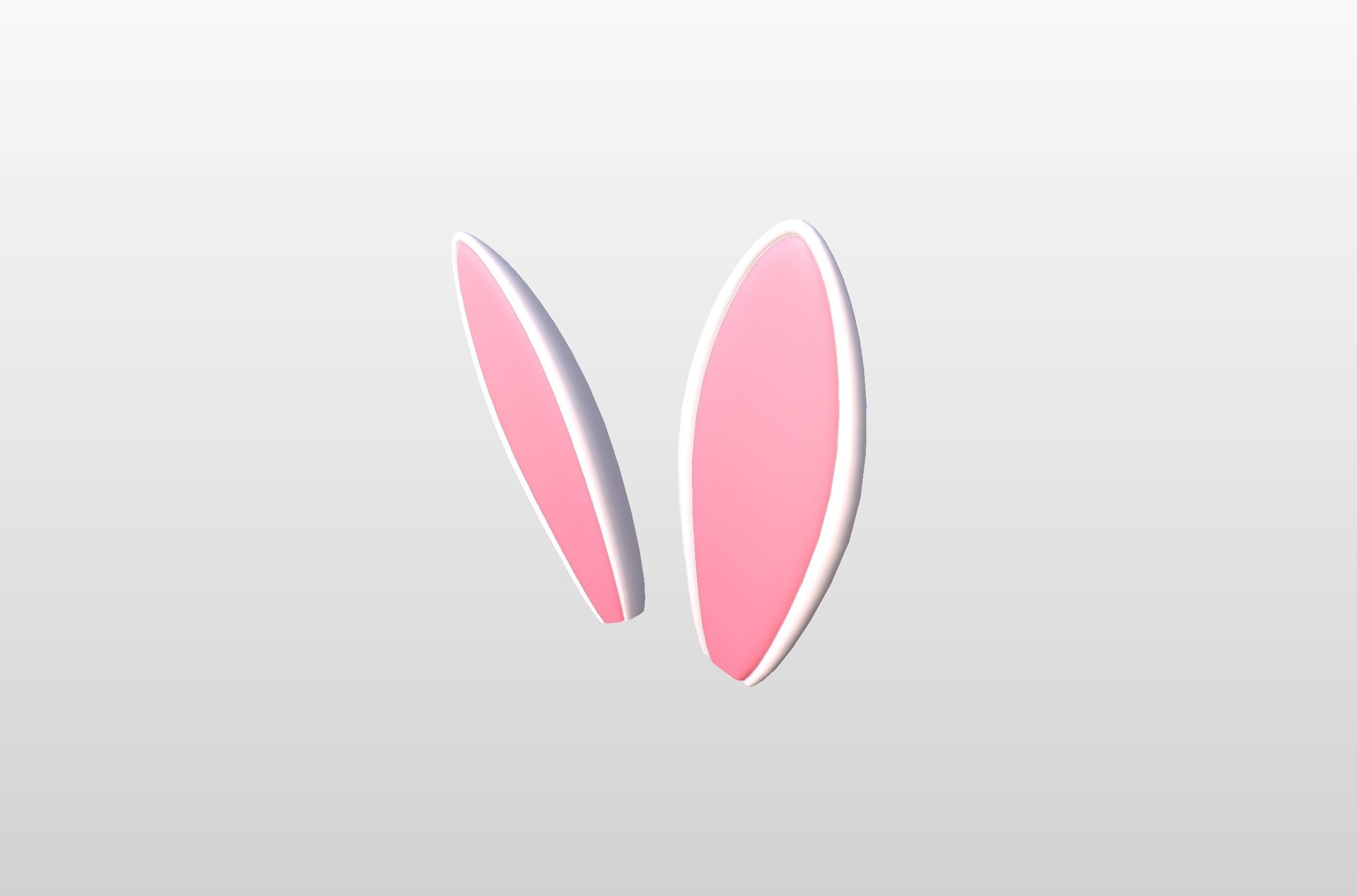 Rabbit Ear 3D model_18