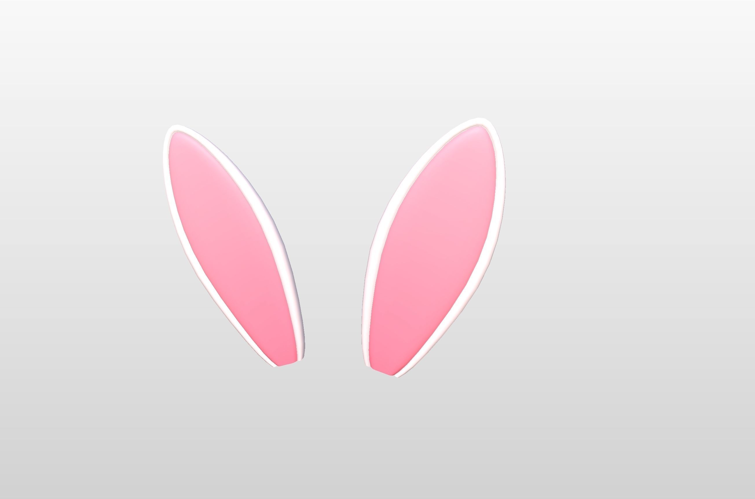 Rabbit Ear 3D model_1